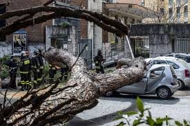 Il Comune di Roma nega il risarcimento a chi ha subito danni all’auto per la strage di alberi di fine ottobre